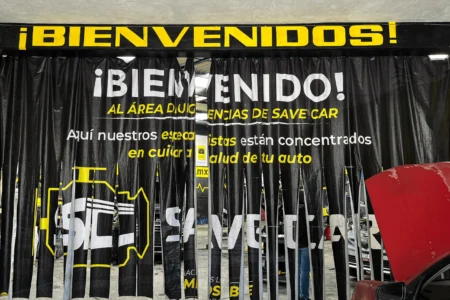 bienvenidos